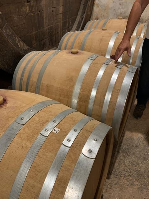 Private tour: Wine tasting, experience real Mallorca - Who Will Love This Tour?