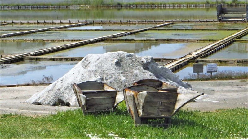 Private Tour: Wine Tasting Tour, Mud Baths, History & more - Good To Know