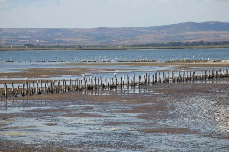 Private Tour: Wine Tasting Tour, Mud Baths, History & more - A Deep Dive into the Tour Experience