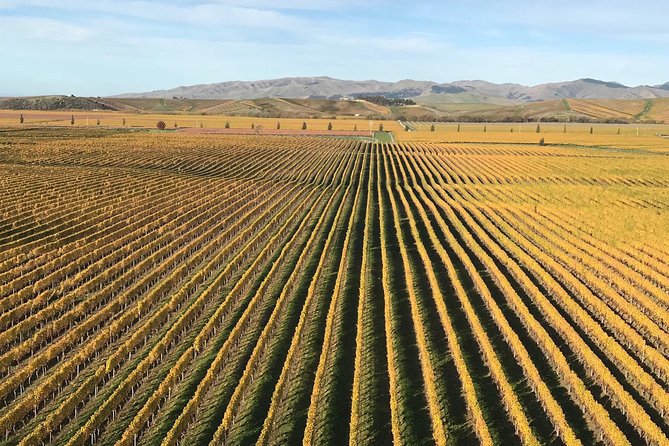 Private Tour: Winter Wine and Scenic Delights Tour From Picton - Pickup Details