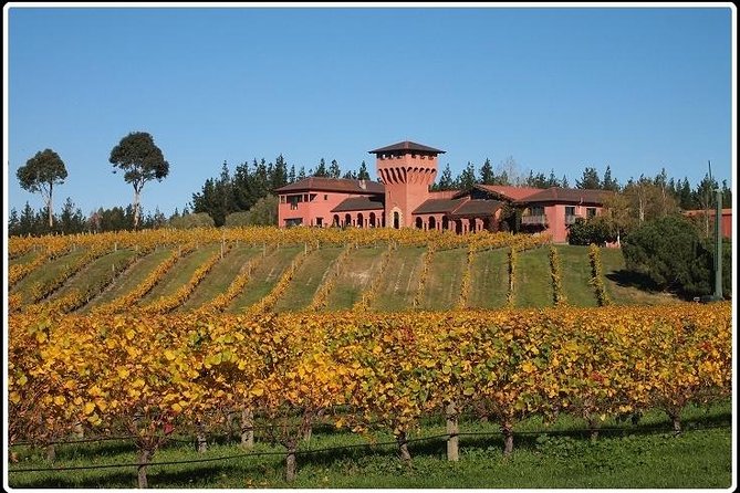 Private Tour: Winter Wine and Scenic Delights Tour From Picton - Optional Activities