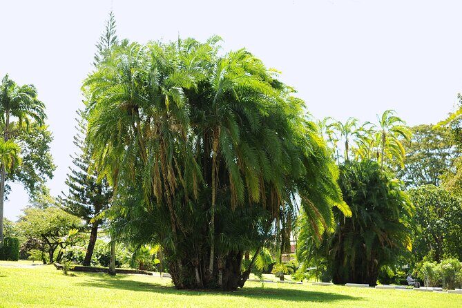 Private Tour with Botanical Gardens, Trafalgar Falls&Morne Bruce - The Sum Up