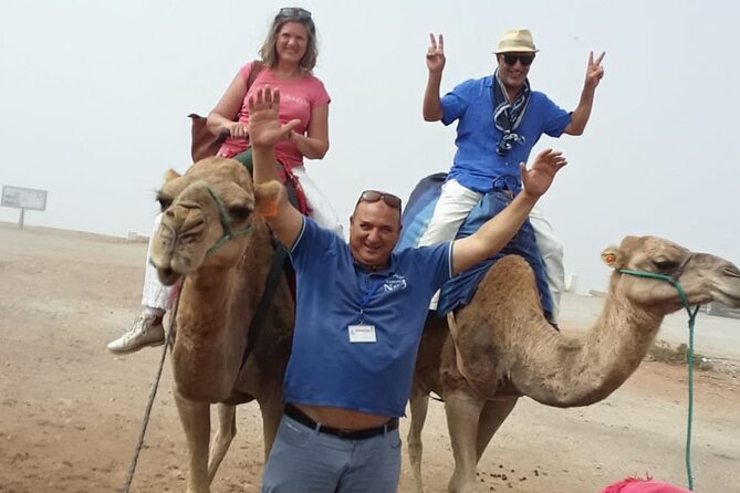 Private Tour With Guide in Tangier - Tour Highlights