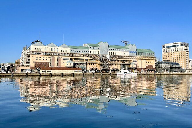 Private Tour with Kushiro Marsh, Tancho, and Local Market - Final Thoughts