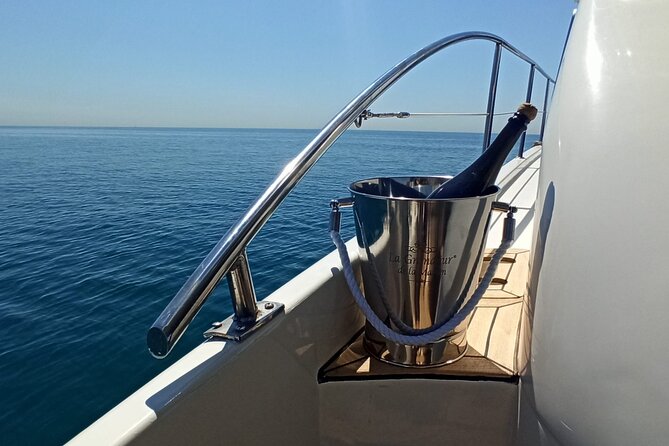 Private Tour With Navigation and Visit to Alella Vineyards - Inclusions and Transportation