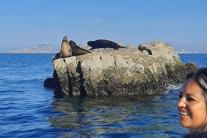 Private tour with sea lions and snorkeling - Who Will Love This Tour?