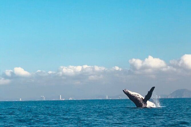 Private tour with sea lions and snorkeling - FAQs