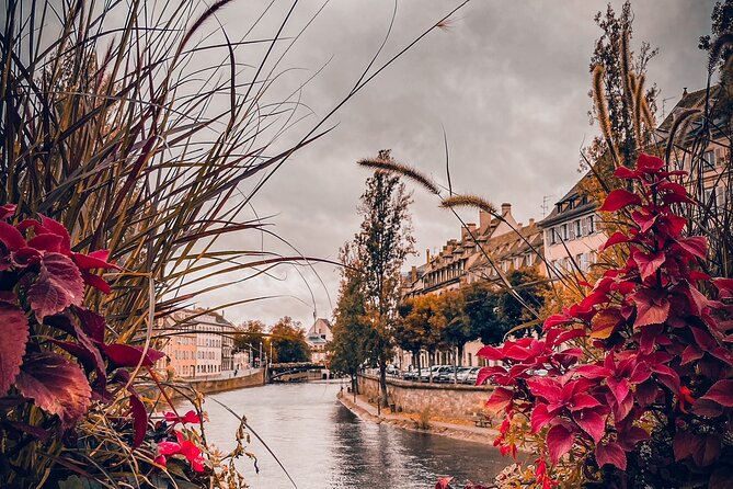 Private Tour With Tasting in Strasbourg - Pricing