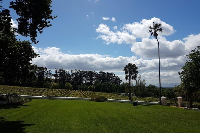 Private Tour With Wine Expert to Cape of Good Hope & Constantia Wine Region - Reviews