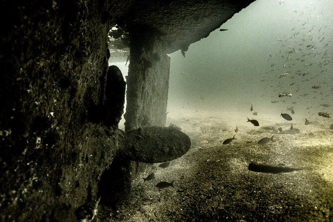 Private Tour Wreck Diving 5 Divers Cabo to La Paz - Common Questions