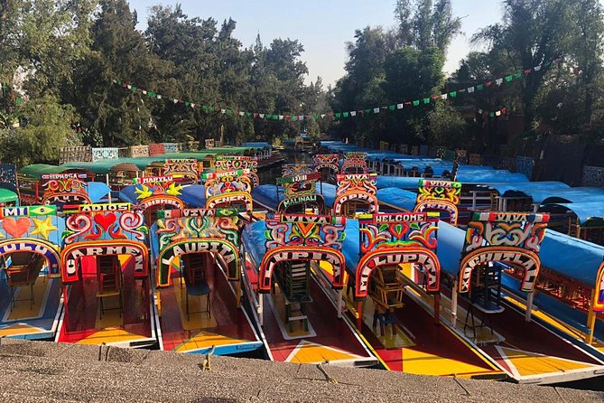 Private Tour: Xochimilco, Coyoacan and Frida Kahlo Museum. - Professional Guide and Private Vehicle
