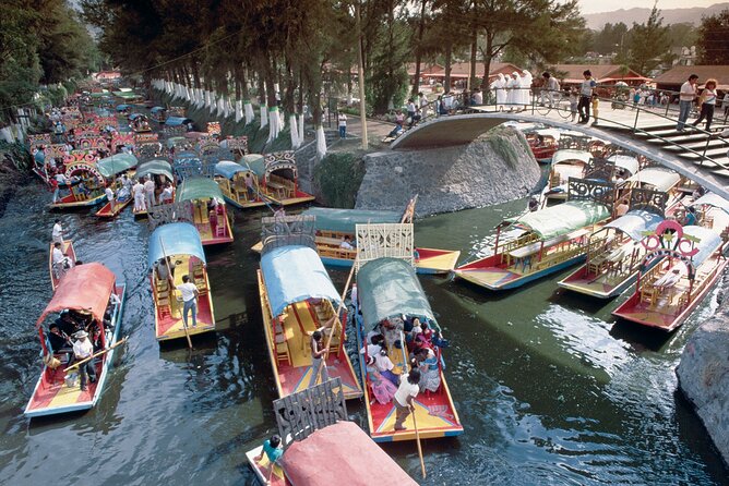 Private Tour: Xochimilco Coyoacan and Frida Kahlos Museum and House - Tour Overview and Highlights