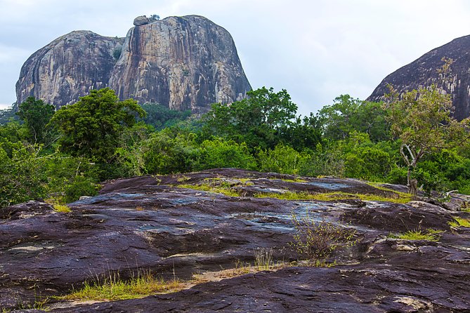 Private Tour : YALA National Park With Experienced Driver/Guide - Additional Information