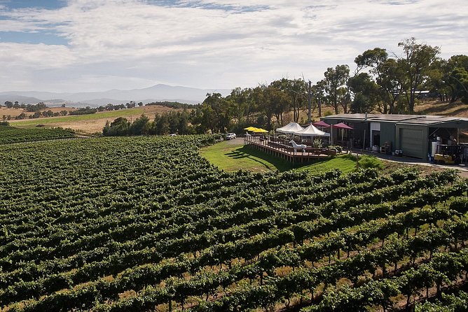 Private Tour: Yarra Valley Wineries With Wine Tastings - Reviews and Pricing Information