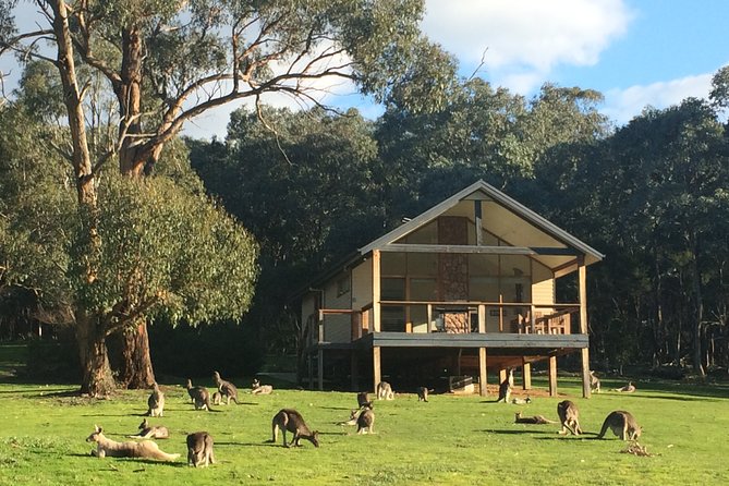 [PRIVATE TOUR] Yarra Valley Winery Day Tour - Tour Overview and Itinerary