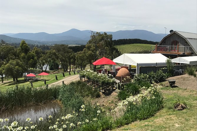 [PRIVATE TOUR] Yarra Valley Winery Day Tour - Meeting and Pickup