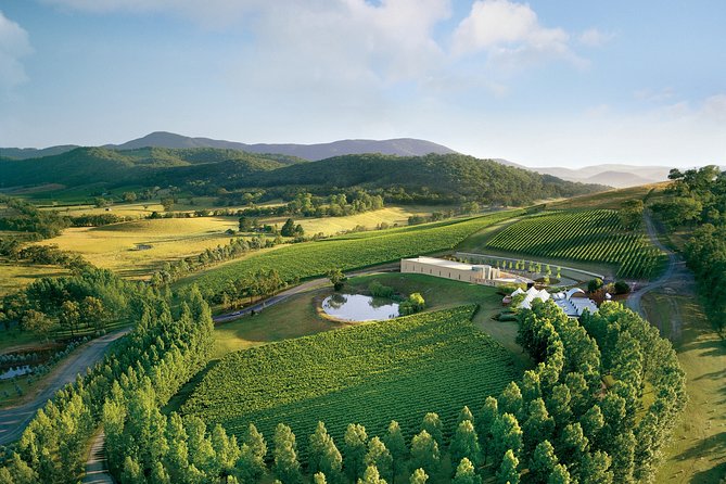 [PRIVATE TOUR] Yarra Valley Winery Day Tour - Reviews