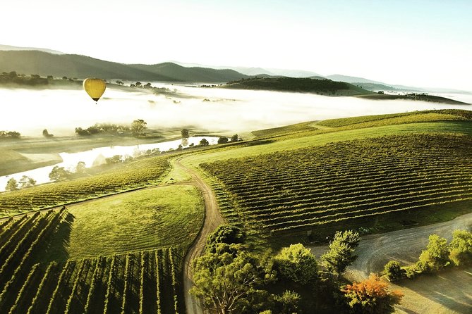 [PRIVATE TOUR] Yarra Valley Winery Day Tour - Pricing and Contact Information
