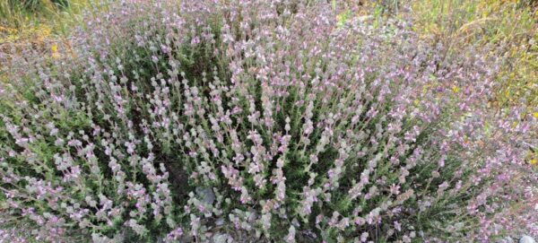 Private Tour - Zeus Cave/Lasithi Plateau & Olive Oil Tasting - Additional Information