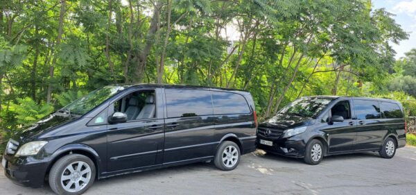 Private Tour - Zeus Cave/Lasithi Plateau & Olive Oil Tasting - The Sum Up