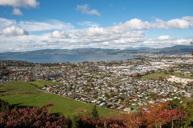Private Tour Ziplining Forest Adventure from Rotorua - Why Choose This Tour?