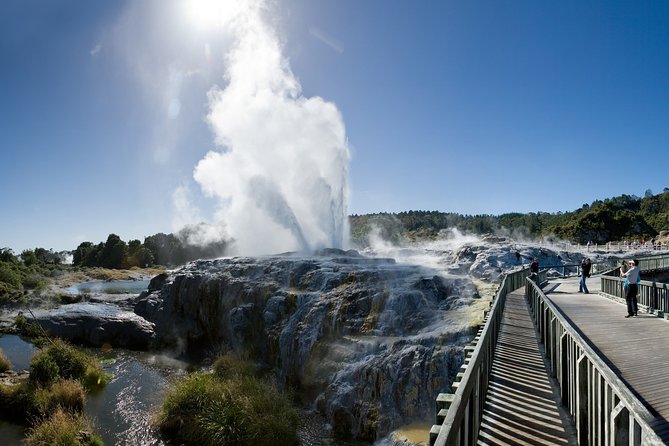 Private Tour[2 Days]: Te Puia & Waimangu Volcanic Valley Combo - The Sum Up