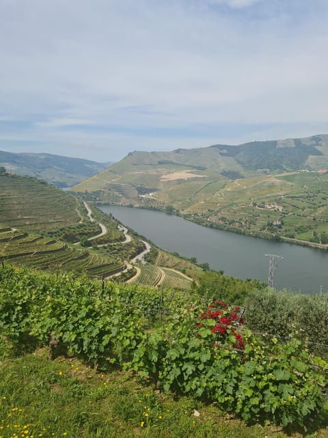 Private tours and transport amazing for you at DOURO Valley - Introduction