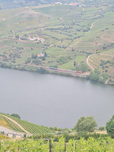 Private tours and transport amazing for you at DOURO Valley - Good To Know