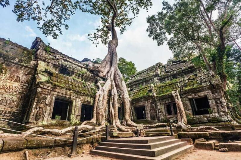 Private Tours Angkor wat, Thom and Small group temple - Final Thoughts
