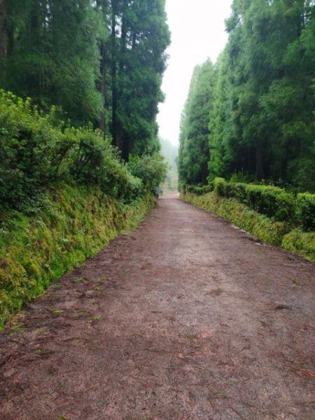Private Tours Best Spots (Views) in São Miguel Island - Scenic Views and Photo Spots