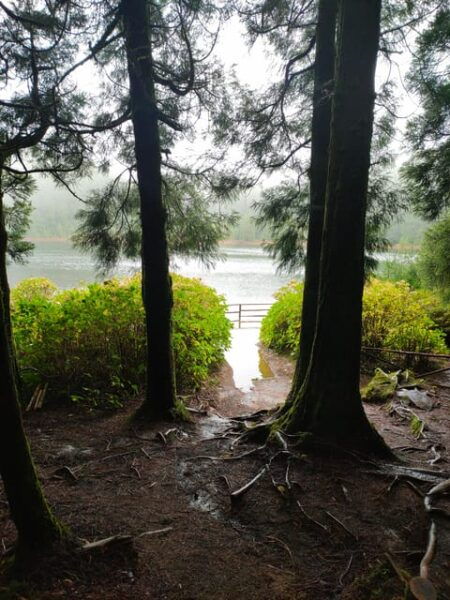 Private Tours Best Spots (Views) in São Miguel Island - Flexibility and Relaxation
