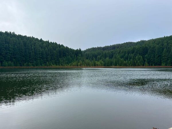Private Tours Best Spots (Views) in São Miguel Island - Frequently Asked Questions