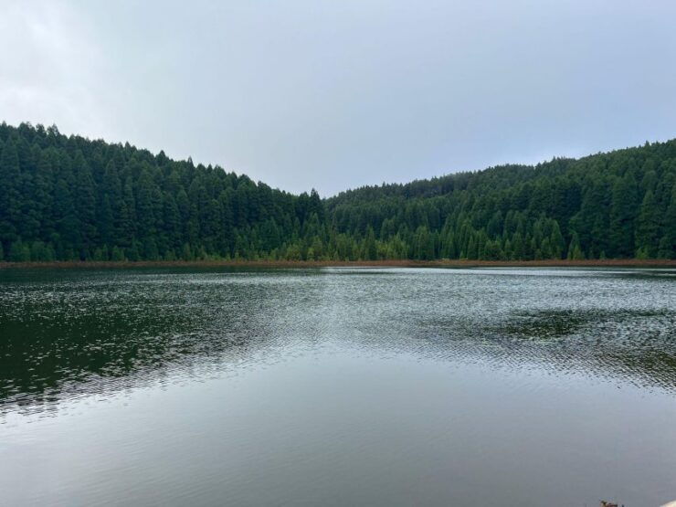 Private Tours Best Spots (Views) in SāO Miguel Island - Scenic Beauty of Lagoa Das Sete Cidades