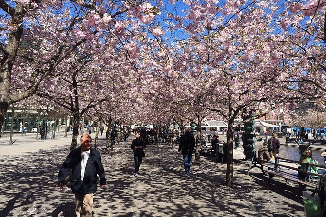 Private Tours by Limousine Car in Stockholm, 8 H. Personalized Shore Excursions - The Sum Up