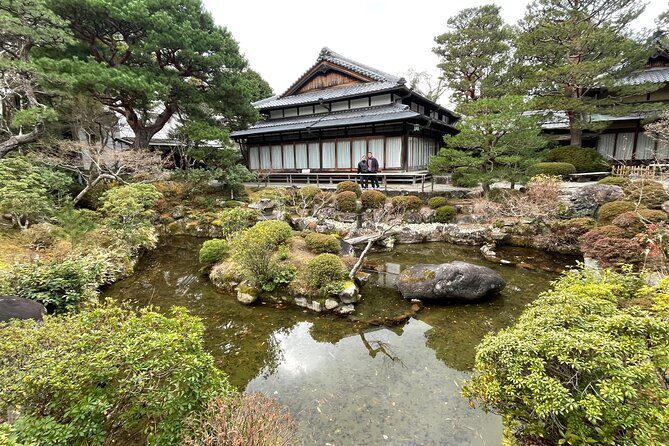 Private Tours by Luxurious Vans in Kyoto, Osaka, Nara. - Overview of the Experience