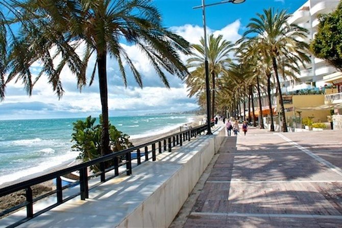 Private Tours From Malaga to Marbella and Puerto Banus for up to 8 Persons - Additional Information