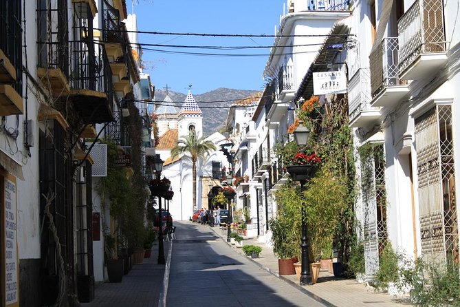 Private Tours From Malaga to Marbella and Puerto Banus for up to 8 Persons - Cancellation Policy