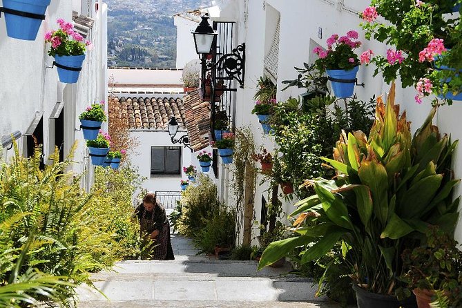 Private Tours From Malaga to Mijas and And Benalmadena for up to 8 Persons - Pricing and Terms