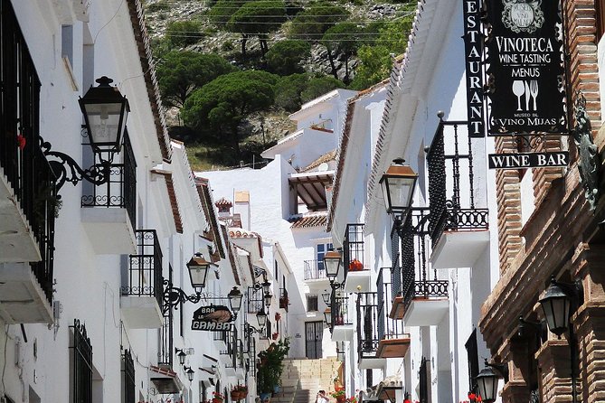 Private Tours From Malaga to Mijas and And Benalmadena for up to 8 Persons - Common Questions