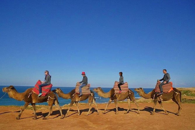 Private Tours From Malaga to Tangiers in Morocco for up to 8 Persons - The Sum Up