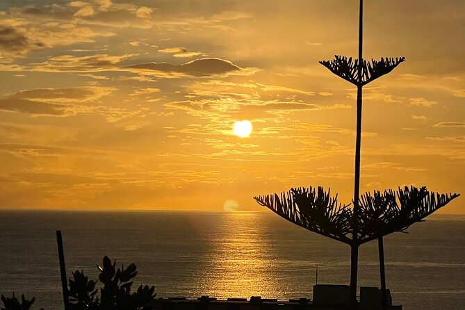 Private Tours!! From Mountain to Sea - Madeira Island - Tour Details