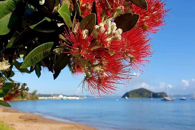 Private Tours in Bay of Islands - Good To Know