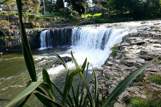 Private Tours in Bay of Islands - Practicalities and Additional Information