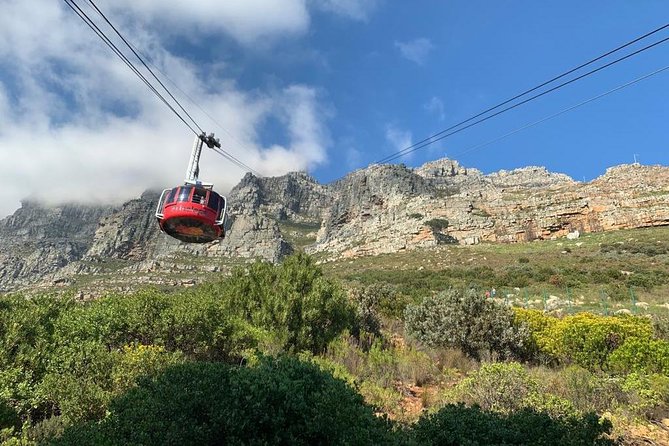 Private Tours in Cape Town - Personalized Cape Town Adventure