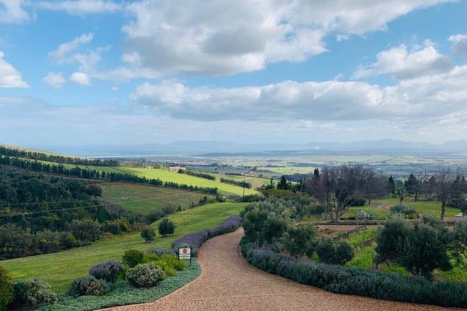 Private Tours in Cape Town - Weather-Related Refunds and Rescheduling