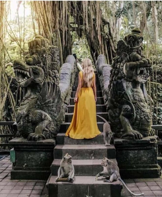 Private Tours: Tegallalang With Monkey Forest And Water Fall - Good To Know