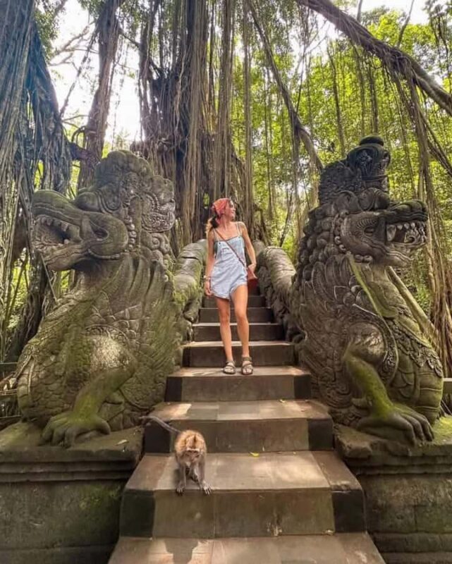 Private Tours: Tegallalang With Monkey Forest And Water Fall - What Makes This Tour Stand Out