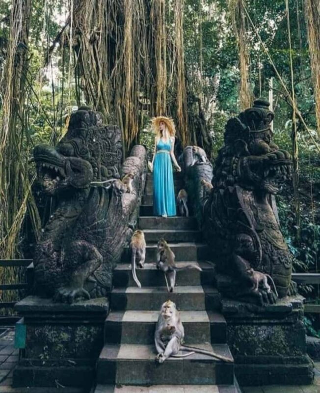 Private Tours: Tegallalang With Monkey Forest And Water Fall - Final Thoughts