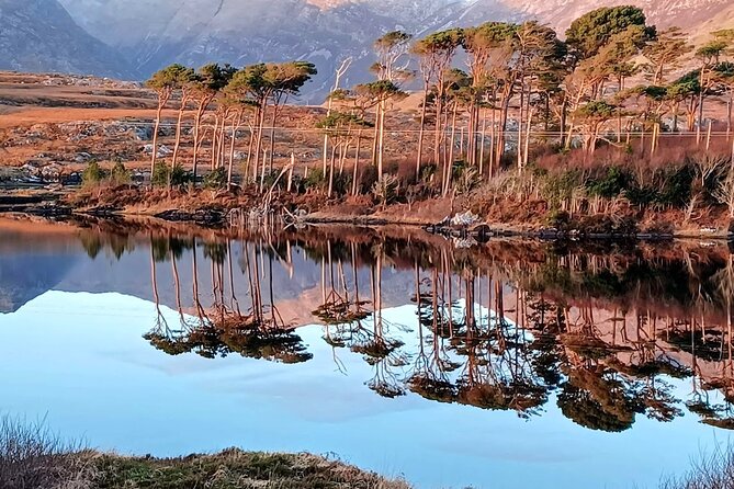 Private Tours & Transfers Dublin Airport to Galway Ireland - The Sum Up