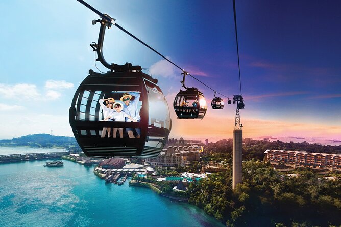 Private Tour:Singapore National Museum and Singapore Flyer and Ducktour - Tour Highlights